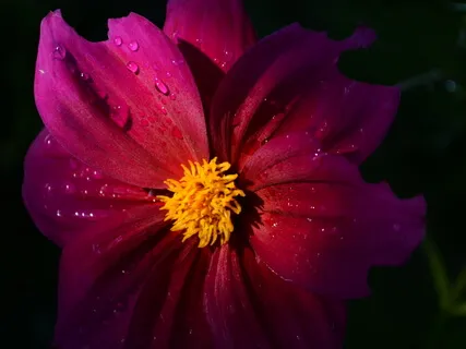 Affirmations Of Hope