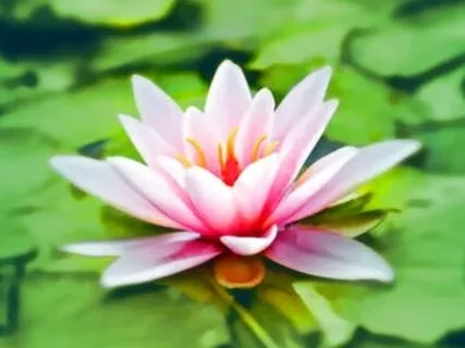 Affirmations Of Safety