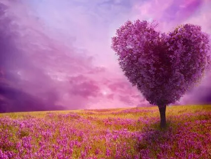 Affirmations Of Self Love | Guided Practice