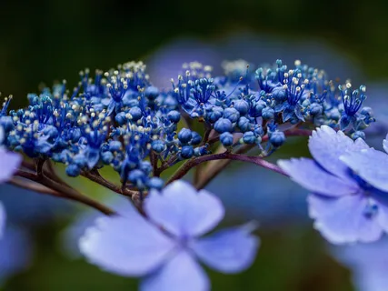 Affirmations: Overcome Overwhelm