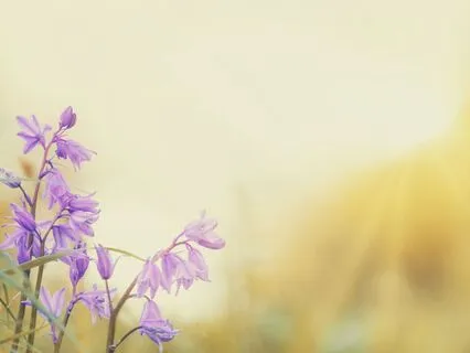 Affirmations: Release Tension In >7 Minutes