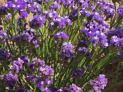 Affirmations: Removing Resistance Towards Twin Flame