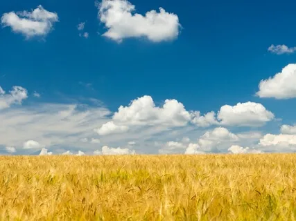 Affirmations/Chant For Abundance - Making A Start Towards Better Finances 