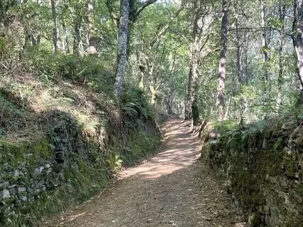 Affirmations To Attract Love (Whispered)