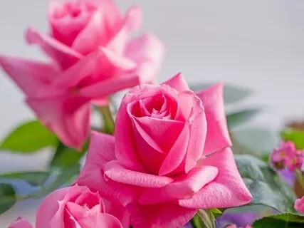 Affirmations To Attract Love - Sleep Relaxation