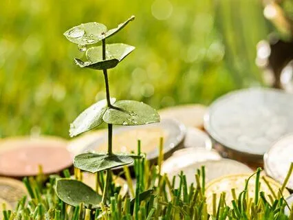 Affirmations To Attract Wealth