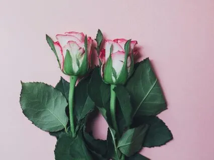 Affirmations To Attract Your Soulmate