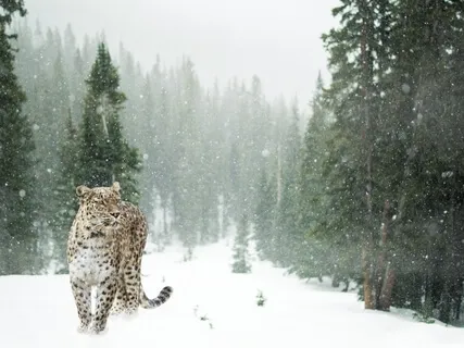 Affirmations To Be The Best Creative Content Creator