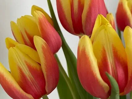 Affirmations To Boost Self-Esteem