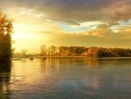 Affirmations To Bring Harmony To Your Life