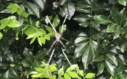 Affirmations To Call In Your Dark Feminine Energy 