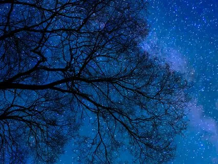 Affirmations To Clear Your Mind Before Bed