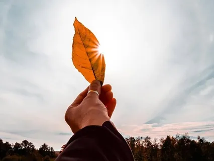 Affirmations To Comfort The Perfectionist