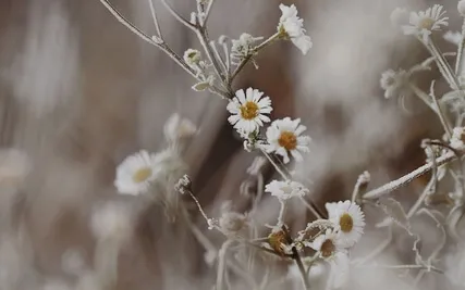 Affirmations To Create Safety Within Yourself