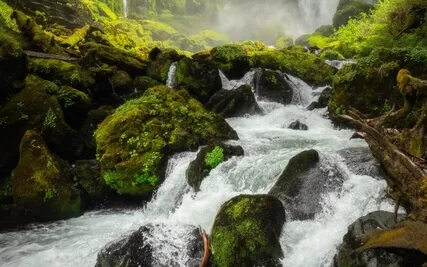 Affirmations To Create The Best Content And Music