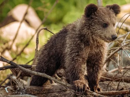 Affirmations To Create The Best Music And Content