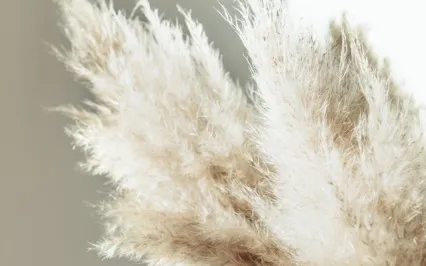 Affirmations To Embrace Change