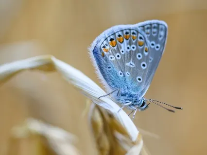 Affirmations To Embrace Your Self And Your Goodness