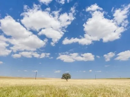 Affirmations To Encourage Easier Breathing-Appreciating The Breath