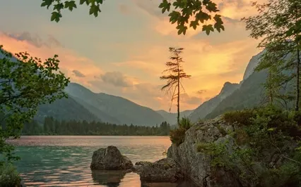 Affirmations To Go Viral As A Content Creator