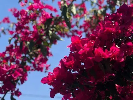 Affirmations To Have An Amazing Day