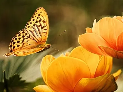 Affirmations To Help You Break Free Of Fear & Anxiety