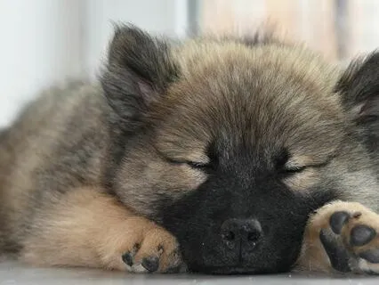 Affirmations To Help You Sleep