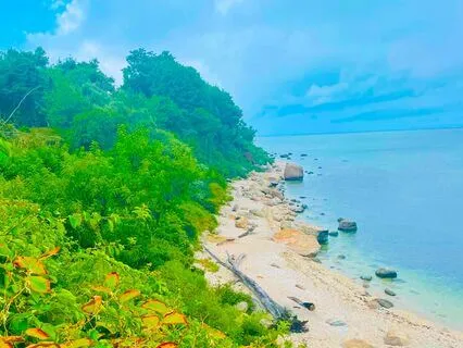 Affirmations To Manifest A Blissful Day