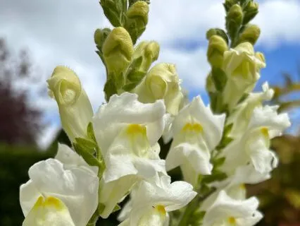 Affirmations To Nurture Self-Compassion