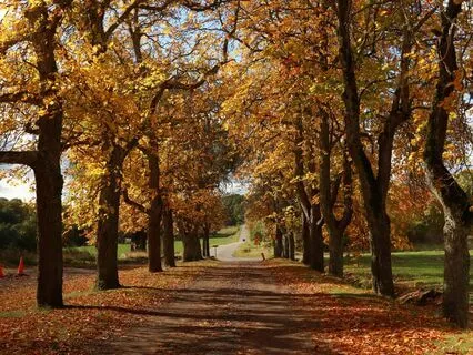 Affirmations To Release Anxiety