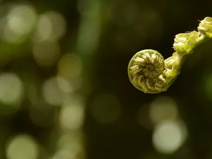 Affirmations To Release Perfectionism