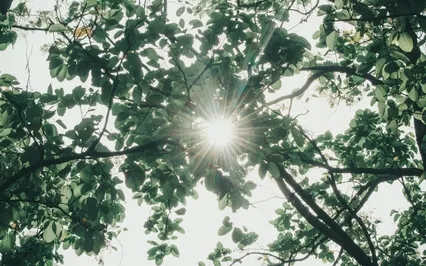 Affirmations To Relieve Stress And Feel Free