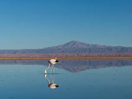 Affirmations To Remember Your Power - 2.22.2021