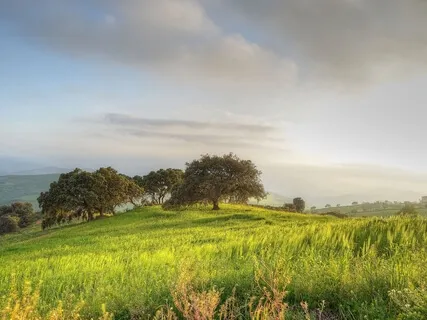 Affirmations To Set The Day