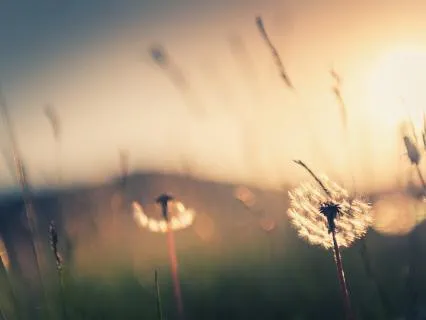 Affirmations To Shift Your Abundance Frequency