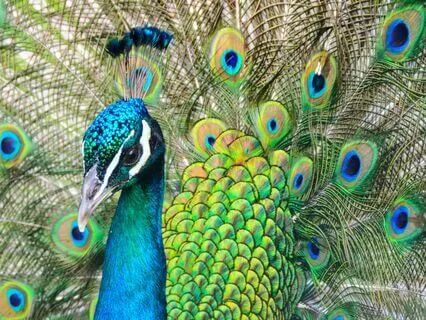 Affirmations To Spark Creativity