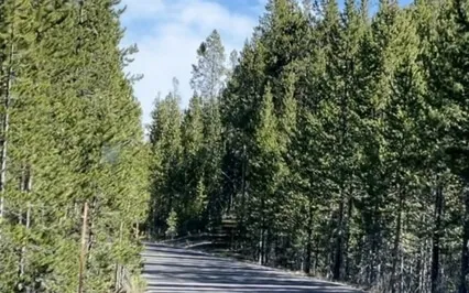 Affirmations To Start The Day