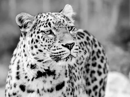 Affirmations To Tap Into Your Personal Power & Think Big