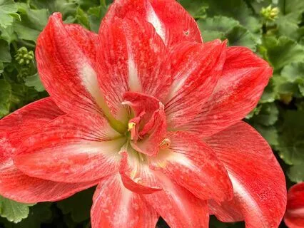 Affirmations To Welcome Abundance With Ease