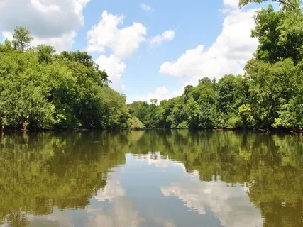 Affirmations When You Feel A Fear Of Abandonment