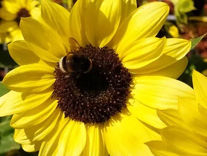 Affirmative Poem: Words From The Heart