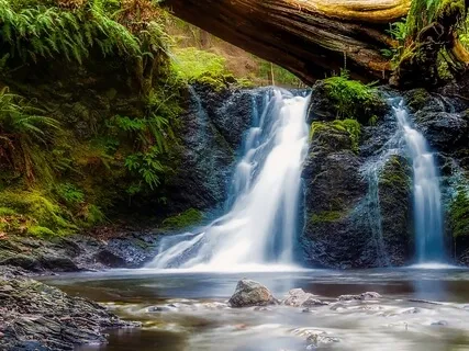 Affirmative Prayer For Full Spiritual Embodiment