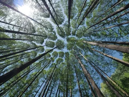 Affirmative Prayer For Perfect Health