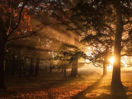 Affirmative Prayer: Love Abides