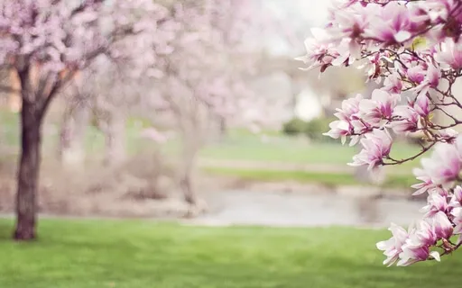 Affirmative Prayer Of Abundance