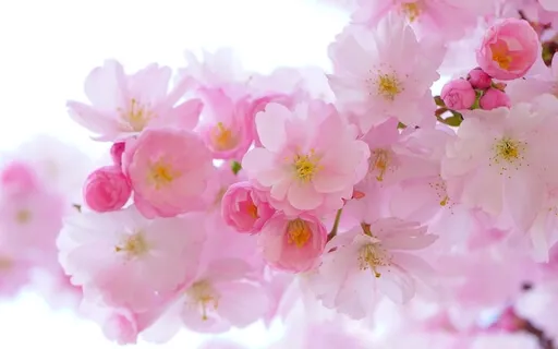 Affirmative Prayer Of Triumph