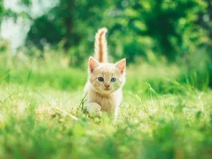 Affirmative Prayer: Opening To The Good Life