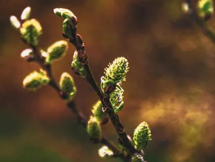 Affirmative Prayer: Renewed And Restored From Within