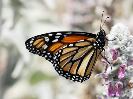 Affirmative Prayer: Transformation Is Happening