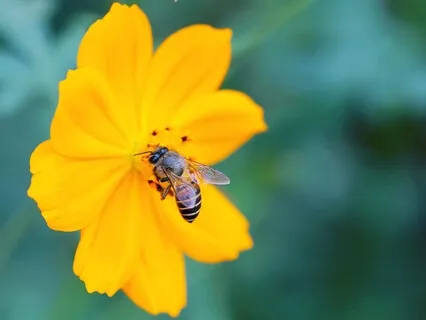 Affirmative Prayer To Release Lack & Embrace Abundance